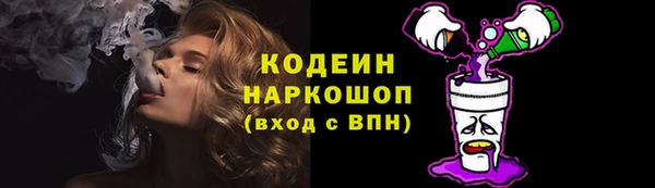 прущие грибы Ступино