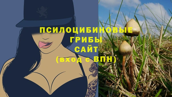 прущая мука Михайловск