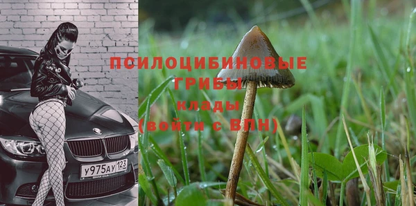 apvp Мегион