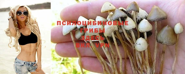дурь Медвежьегорск