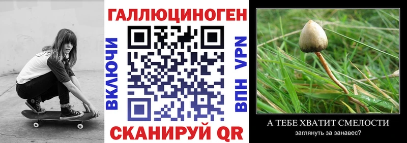 OMG tor  купить наркоту  Североуральск  Галлюциногенные грибы мухоморы 