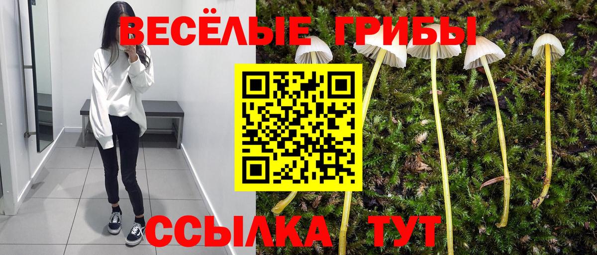 Псилоцибиновые грибы Cubensis Североуральск