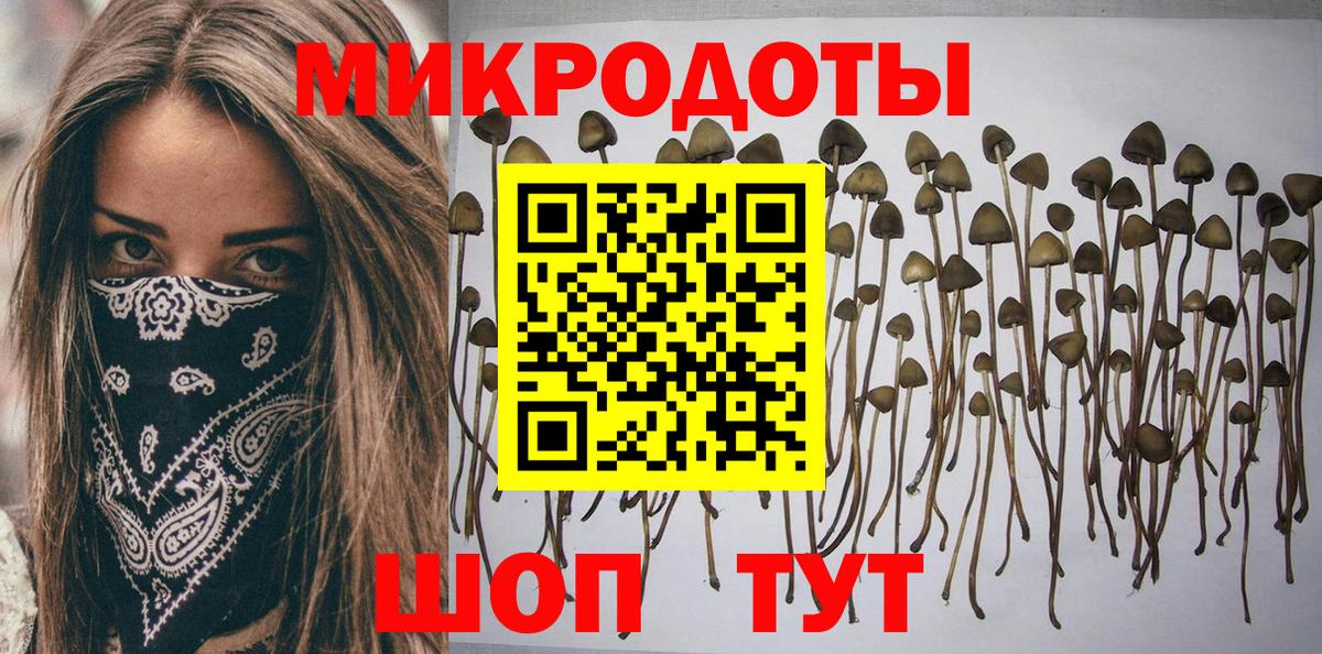 Североуральск  магазин продажи   Галлюциногенные грибы Psilocybe  Вход с VPN  Псилоцибиновые грибы Psilocybe 