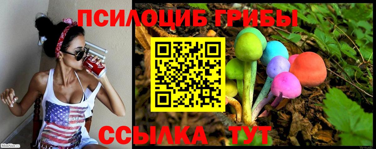 Галлюциногенные грибы MAGIC MUSHROOMS  магазин  наркотиков  Североуральск 